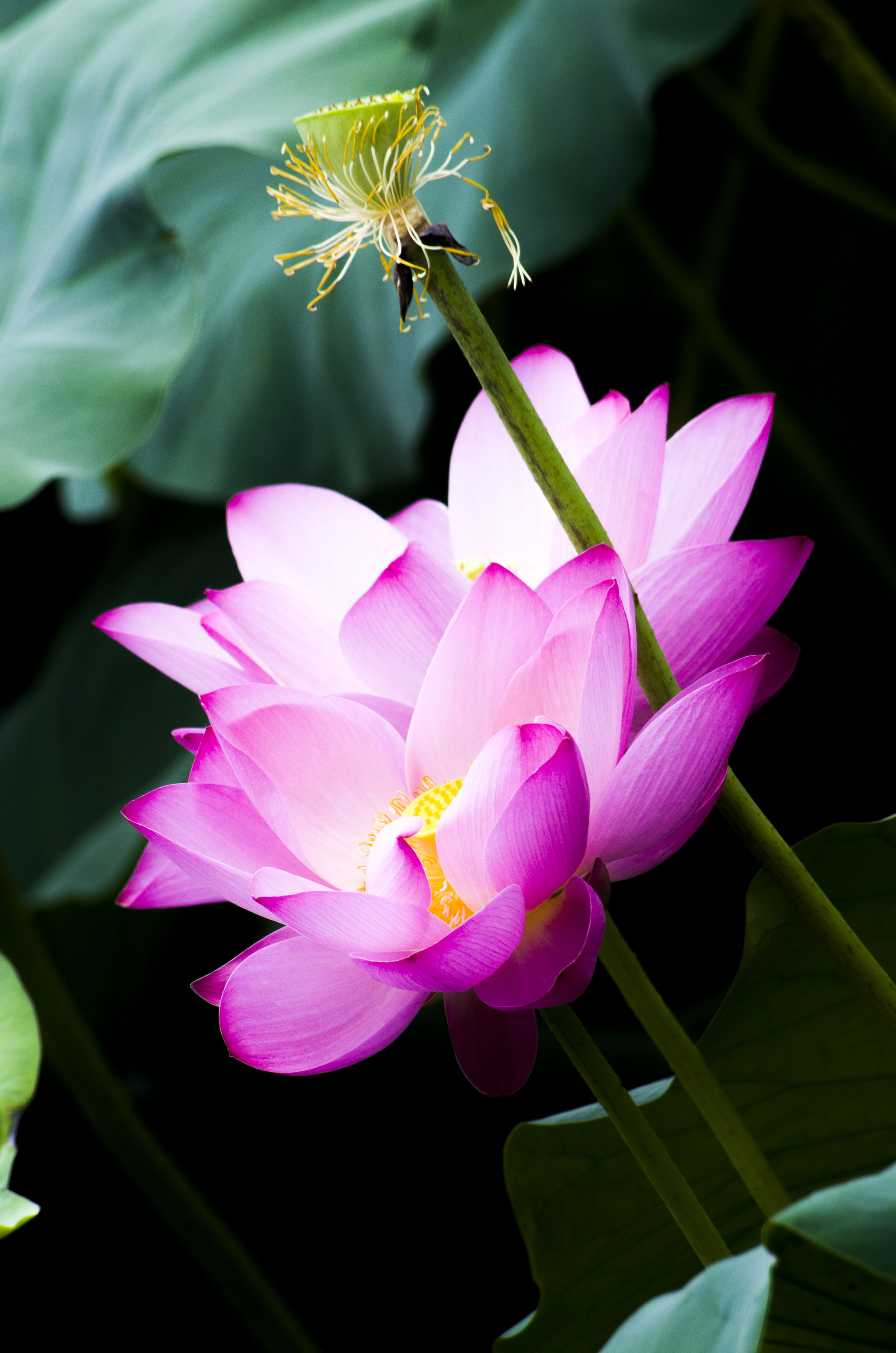 2015072005.jpg