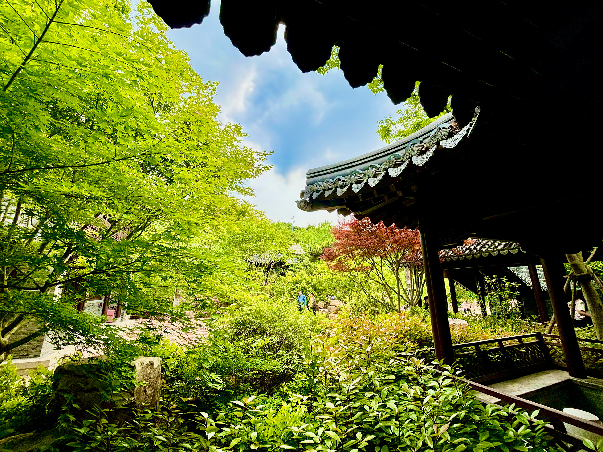 Jiangsu.Garden.Expo.Park.07.jpg