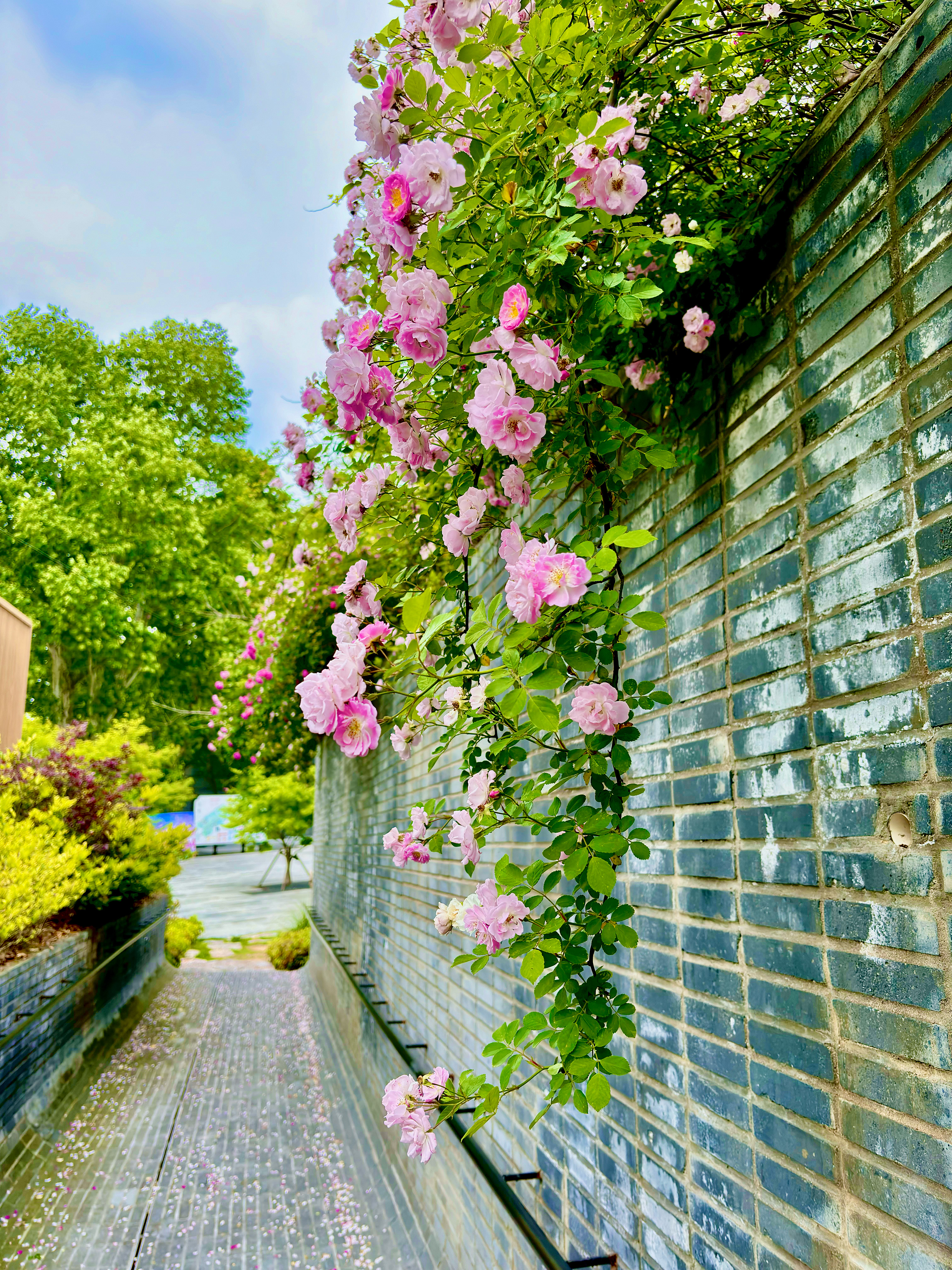 Jiangsu.Garden.Expo.Park.09.jpg