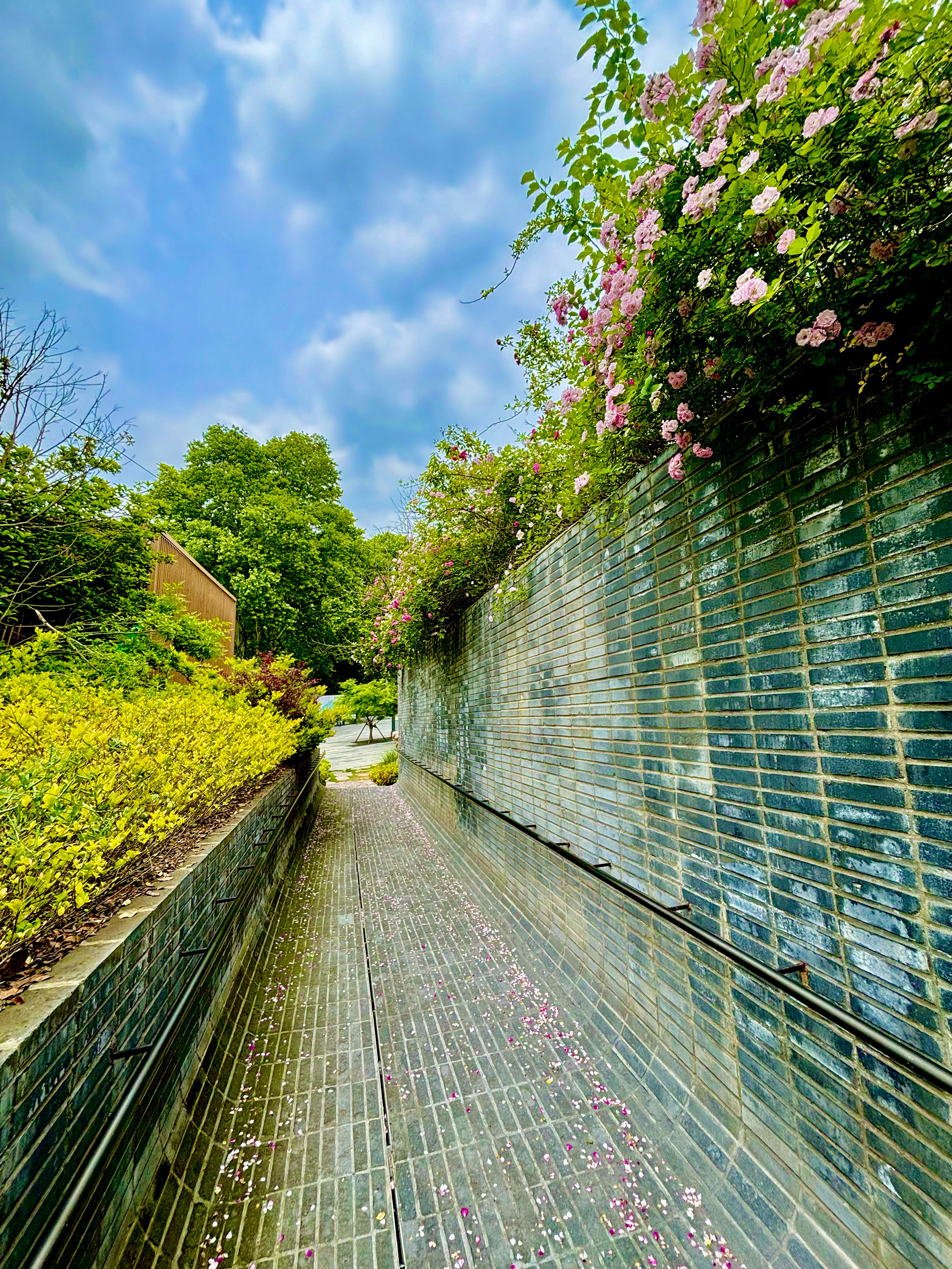 Jiangsu.Garden.Expo.Park.06.jpg